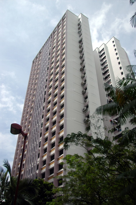 Blk 155 Gangsa Road (Bukit Panjang), HDB Executive #212552